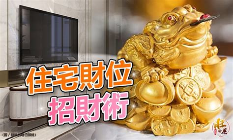 明財位可以放魚缸嗎|財位放魚缸？2024年風水新説